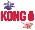 Kong